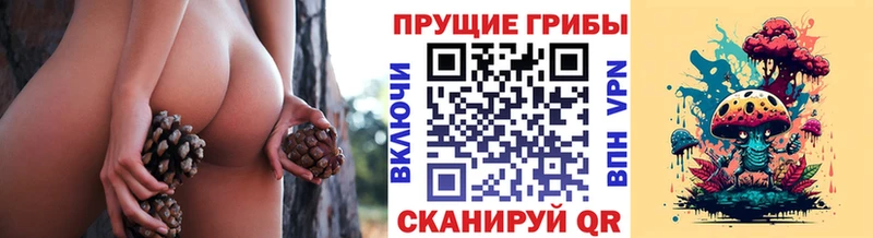 Купить закладки Самара Галлюциногенные грибы Magic Shrooms