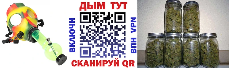 Бошки марихуана MAZAR  Купить где  Самара 